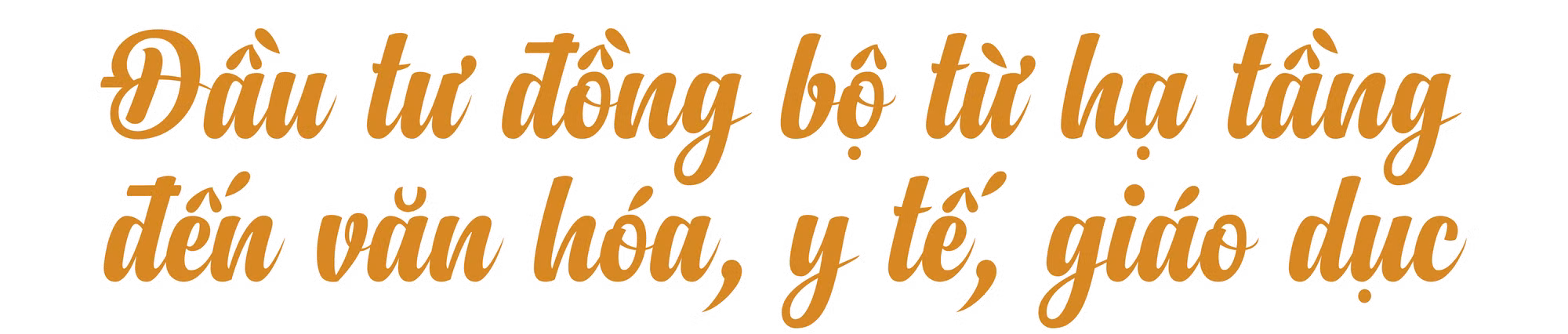 Ảnh trong văn bản
