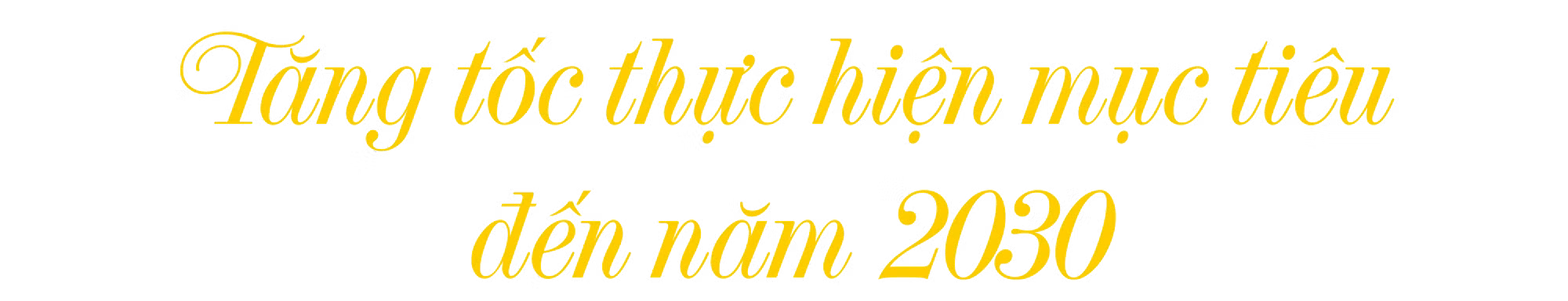 Ảnh trong văn bản