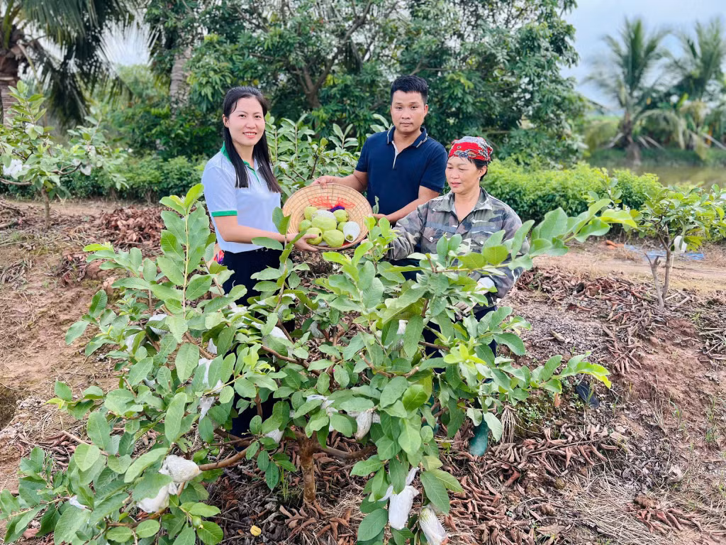 Ảnh với chú thích
