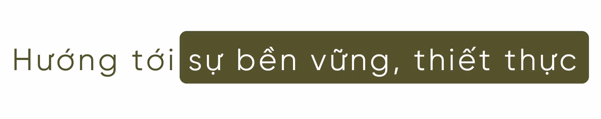 Ảnh trong văn bản
