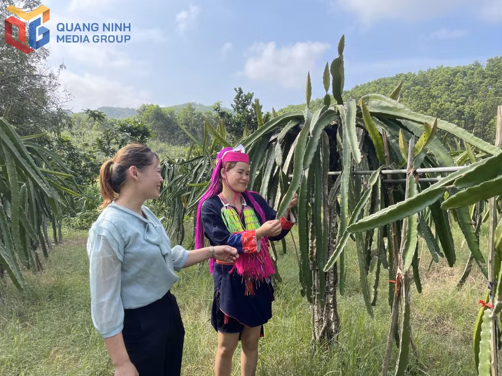 Ảnh với chú thích