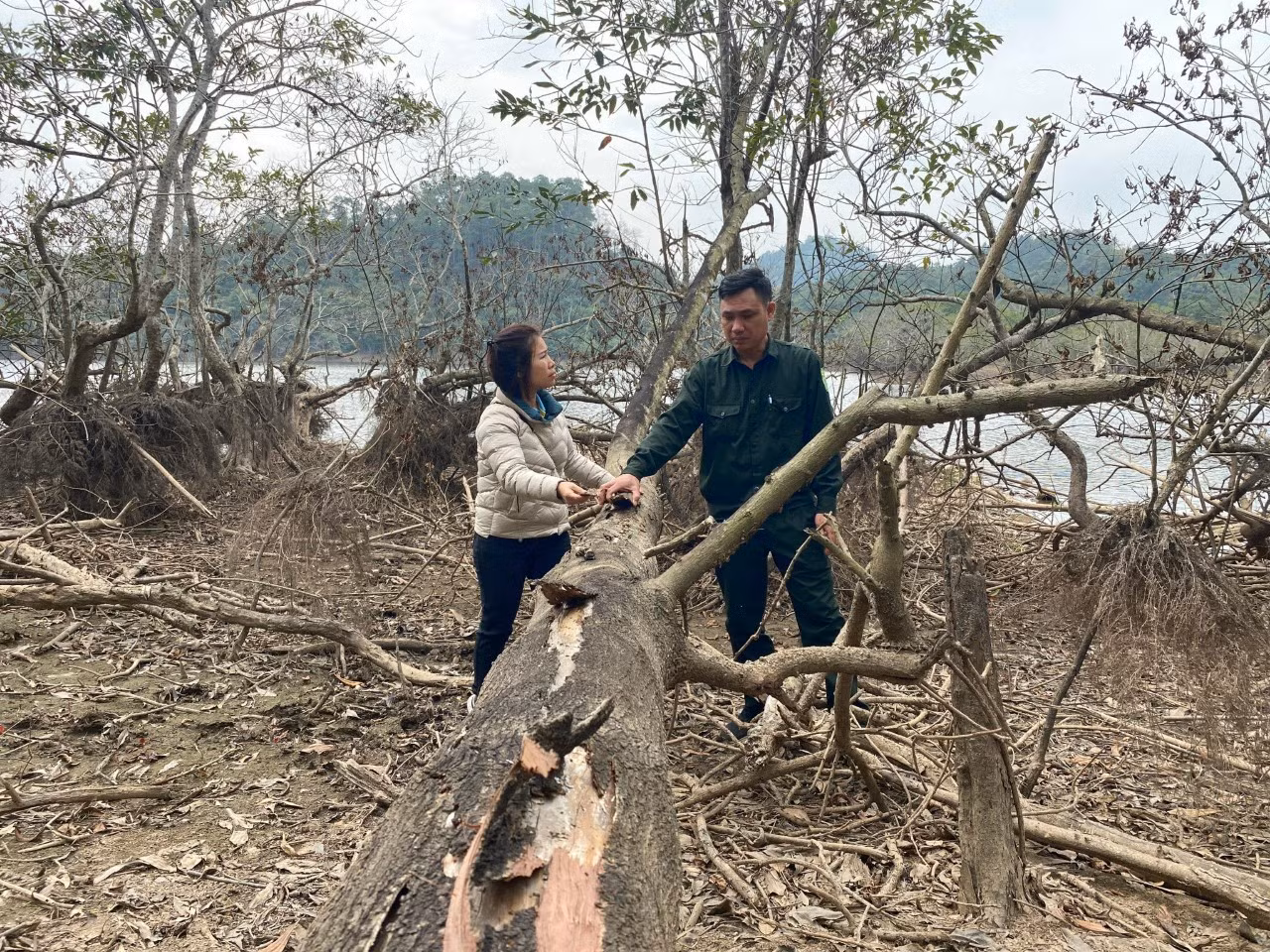 Ảnh với chú thích