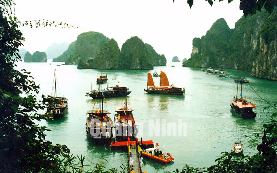 Tháng 1-2012, tỉnh Quảng Ninh có chủ trương yêu cầu tất cả các chủ tàu du lịch hoạt động trên Vịnh Hạ Long phải tiến hành sơn trắng và lắp cánh buồm nâu. (Trong ảnh: Tàu du lịch trên Vịnh Hạ Long trước thời điểm có chủ trương sơn trắng). Ảnh: Đỗ Giang