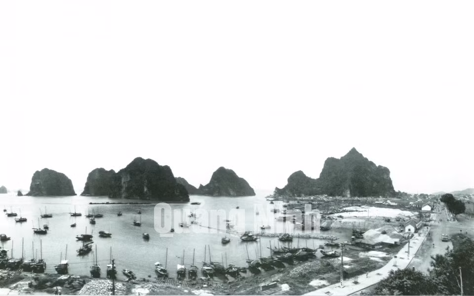 Khu vực Lán Bè khi xưa. Ảnh: Trương Thái