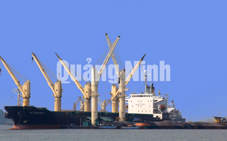 Các phương tiện vào nhận than tại Cảng Hòn Nét (TP Cẩm Phả). Ảnh: Phạm Tăng