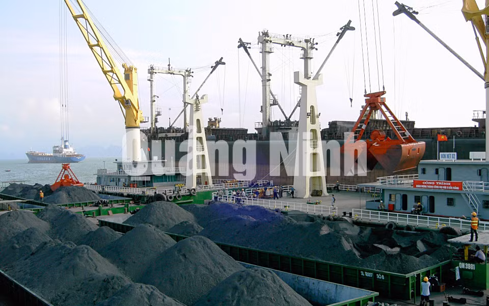 Bốc rót than tại Cảng Cẩm Phả (4-2018). Ảnh: Việt Trung (CTV)