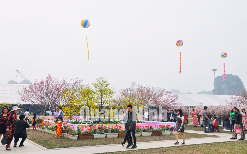 Lễ hội hoa Anh đào - Mai vàng Yên Tử, Hạ Long 2016 thu hút rất đông nhân dân, du khách đến tham quan. Ảnh: Hoàng Quý