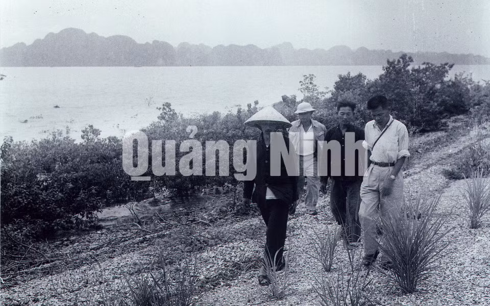 Chủ tịch Hồ Chí Minh thăm đảo Tuần Châu, ngày 5-10-1957. Cùng đi với người có đồng chí Nguyễn Tuân, Bí thư Khu ủy Hồng Quảng.