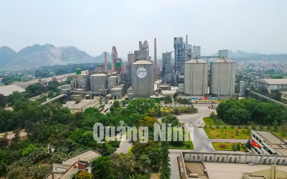 Công ty cổ phần Xi măng Thăng Long (5-2017). Ảnh: Khánh Giang