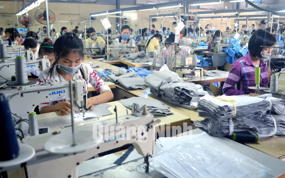 Một ca sản xuất của nữ công nhân Phân xưởng may tại Công ty CP May Quảng Ninh (11-2015). Ảnh: Nguyễn Hoa