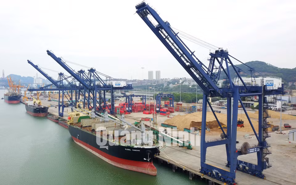 Cảng Cái Lân đã đón 3 tàu vào làm hàng (1-2020). Ảnh: Đỗ Phương