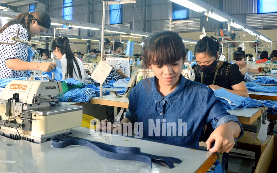 Một ca sản xuất của nữ công nhân Phân xưởng may (Công ty CP May Quảng Ninh) (11-2015). Ảnh: Nguyễn Hoa