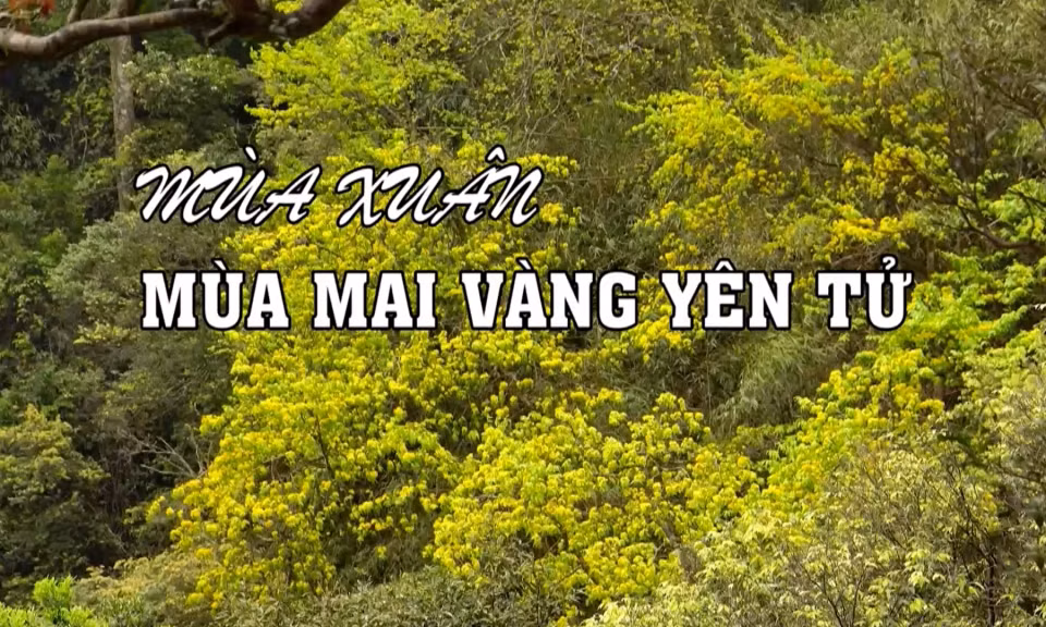 Tết Nguyên đán Giáp Thìn 2024 ảnh 14