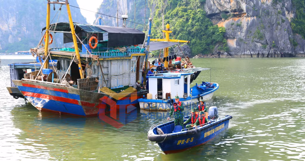 Lực lượng biên phòng tuyên truyền các chủ tàu cá chấp hành nghiêm việc khai thác thủy sản đúng quy định của pháp luật (4-2026). Ảnh: Nguyễn Thanh