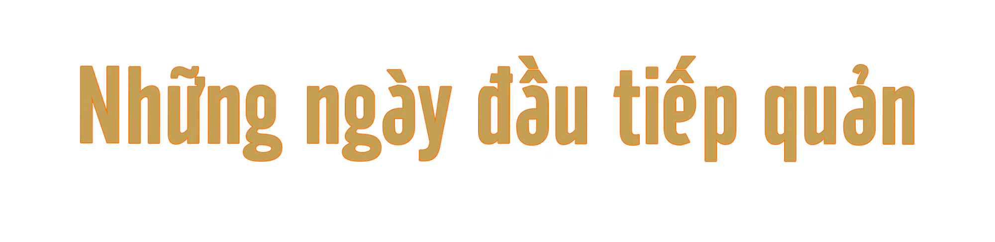 Ảnh trong văn bản