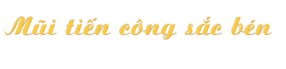 Ảnh trong văn bản