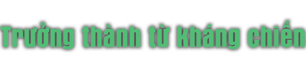 Ảnh trong văn bản