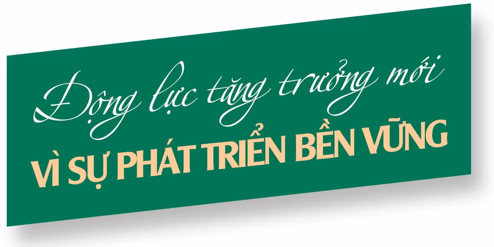 Ảnh trong văn bản