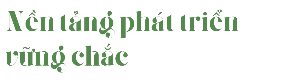 Ảnh trong văn bản