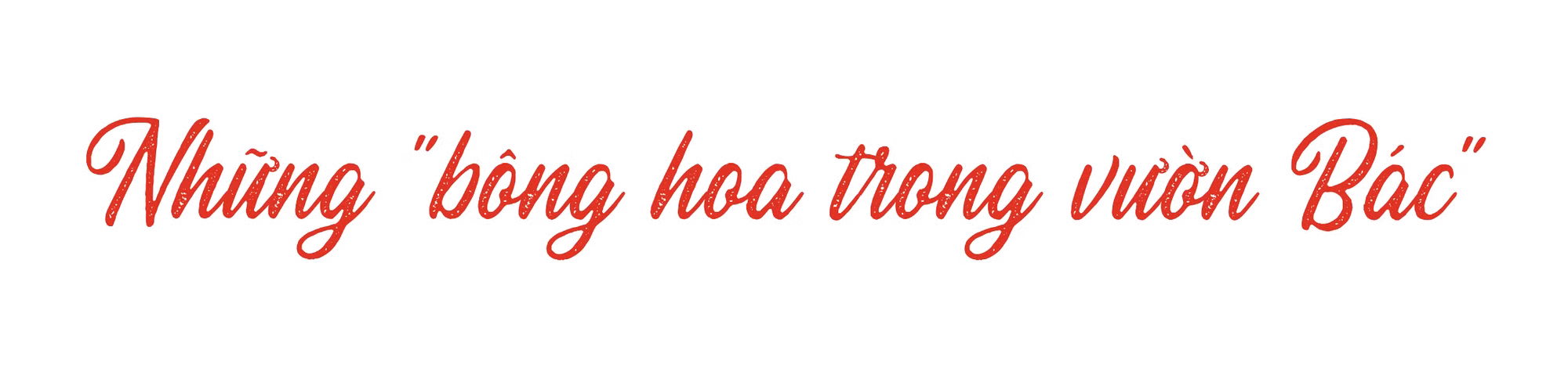 Ảnh trong văn bản