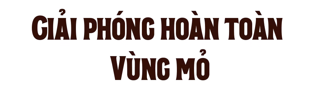 Ảnh trong văn bản