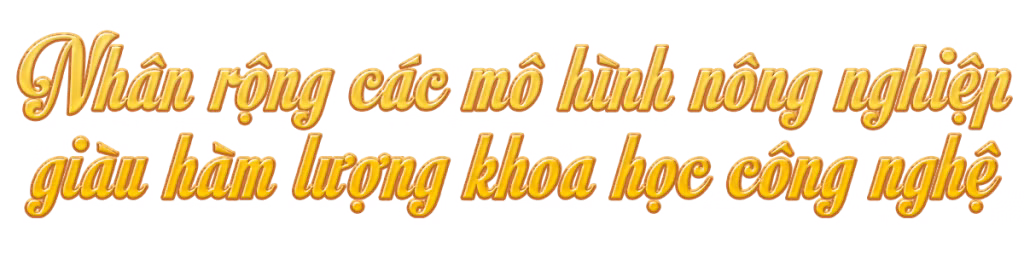 Ảnh trong văn bản