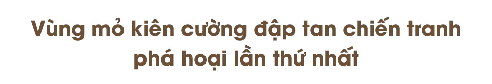 Ảnh trong văn bản