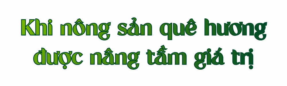 Ảnh trong văn bản