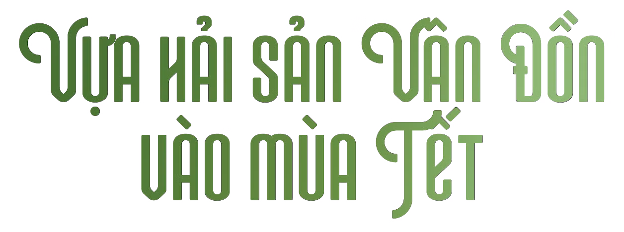 Ảnh trong văn bản