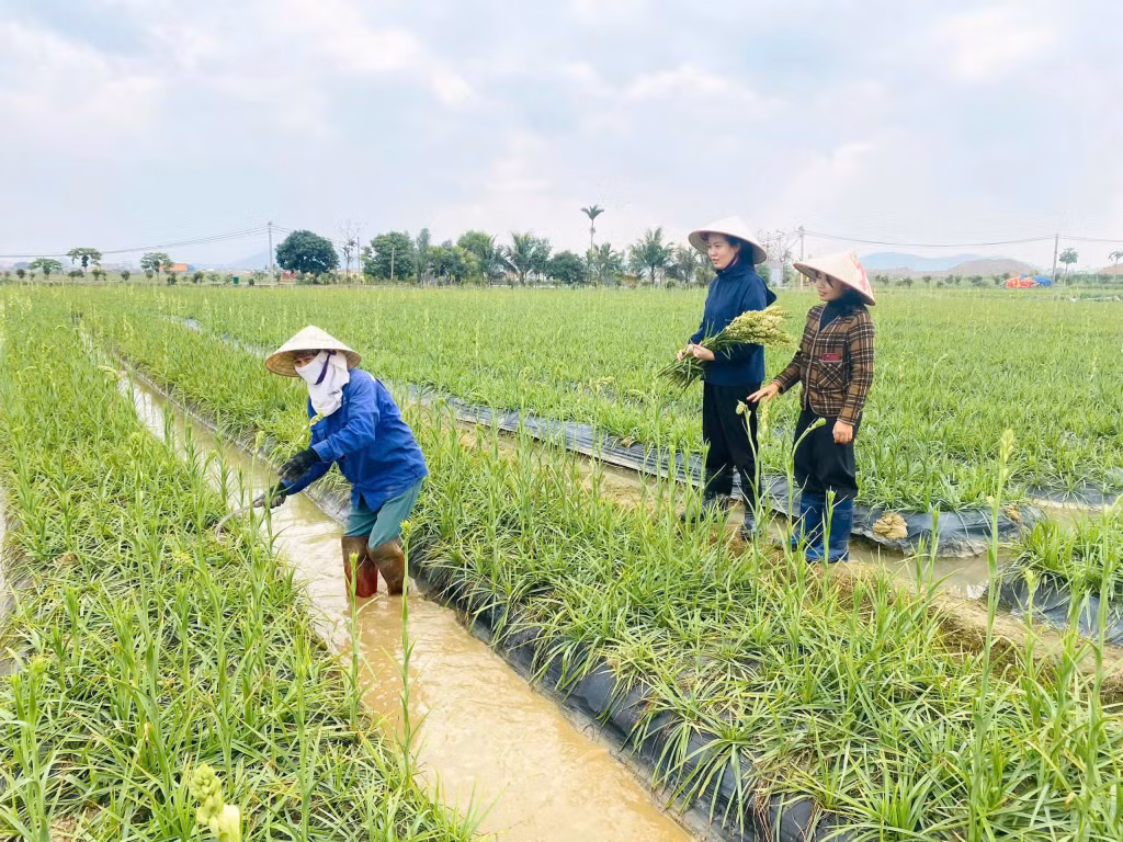 Ảnh với chú thích