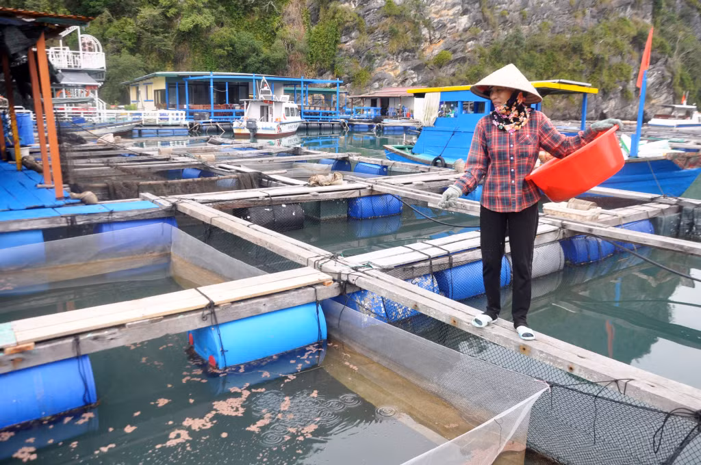 Ảnh với chú thích