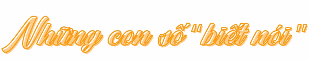 Ảnh trong văn bản