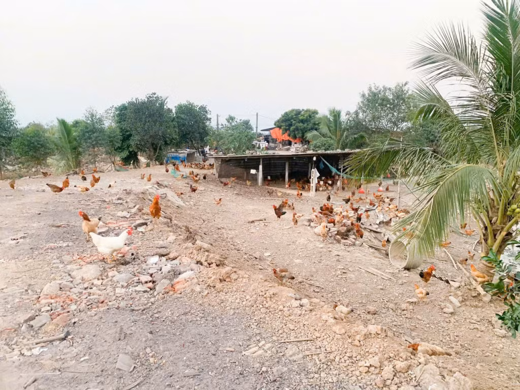 Ảnh với chú thích