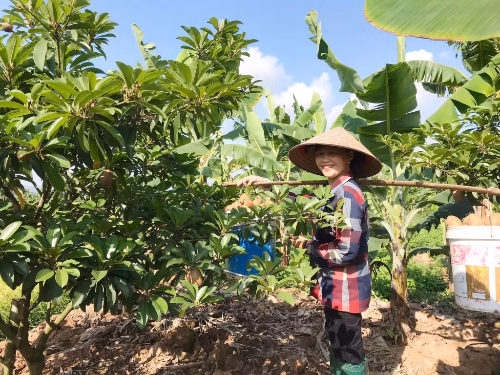 Ảnh với chú thích