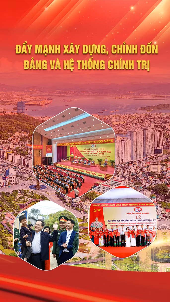 Cover Mobile