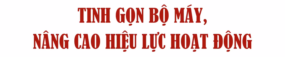 Ảnh trong văn bản