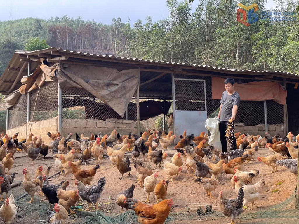 Ảnh với chú thích