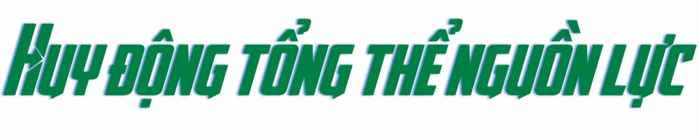 Ảnh trong văn bản