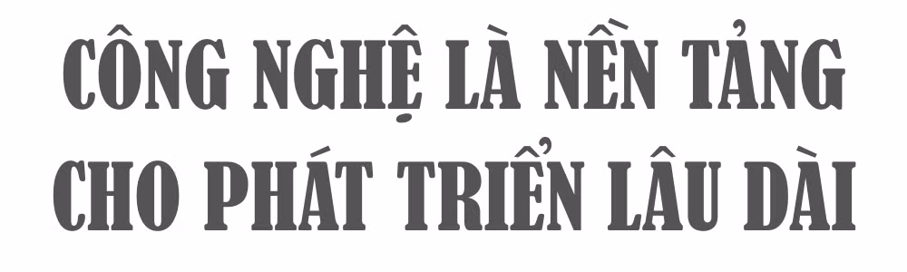 Ảnh trong văn bản