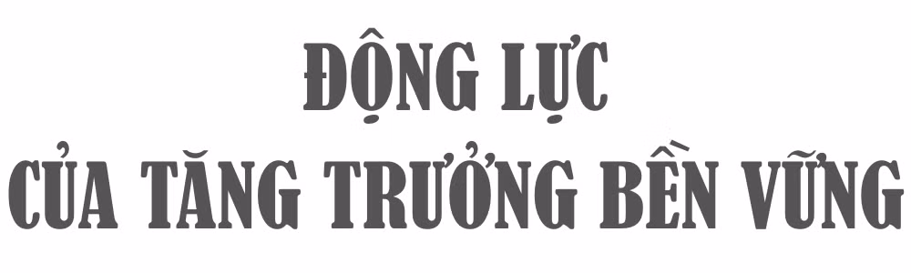 Ảnh trong văn bản
