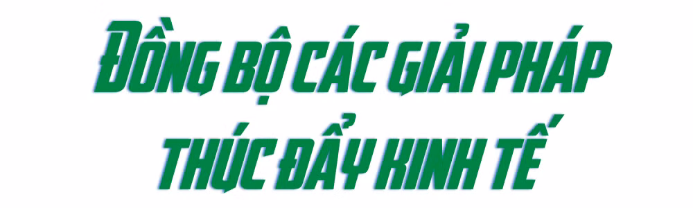 Ảnh trong văn bản