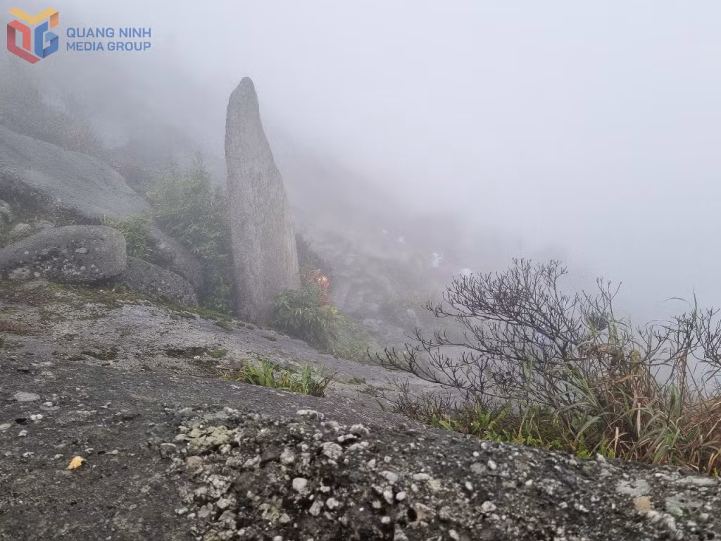 Ảnh với chú thích