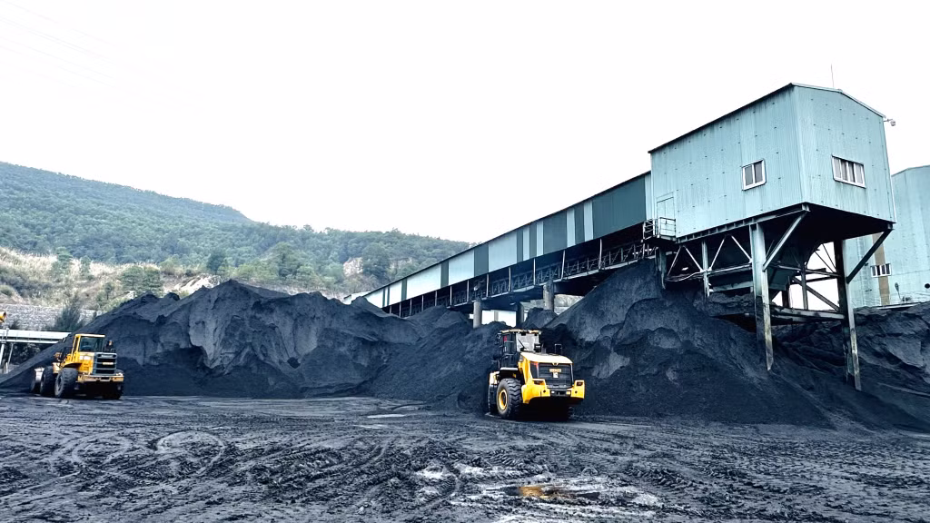 Tết Nguyên đán Giáp Thìn 2024 ảnh 9
