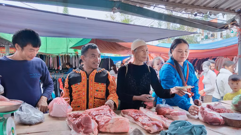 Ảnh trong văn bản