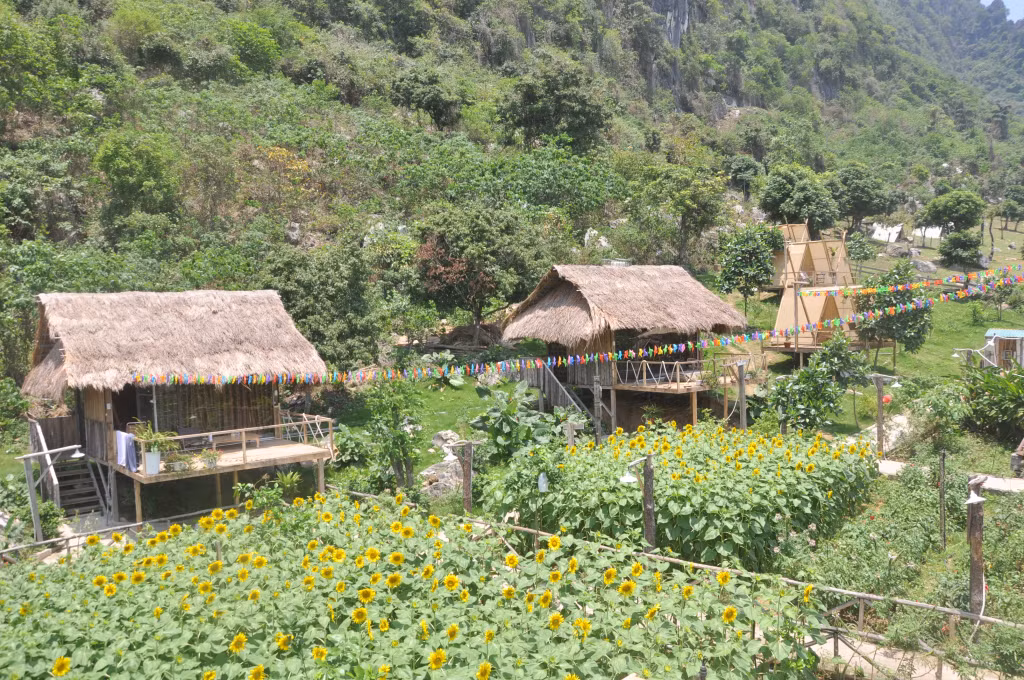 Ảnh với chú thích