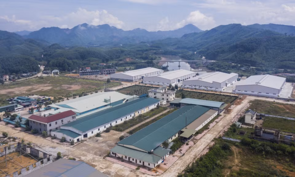 Ảnh trong văn bản