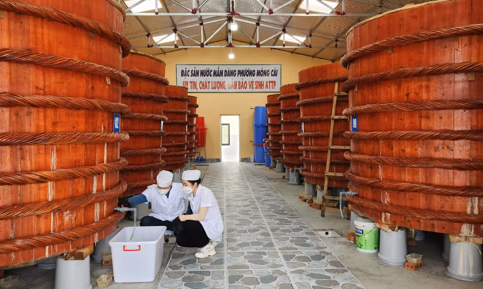 Ảnh trong văn bản