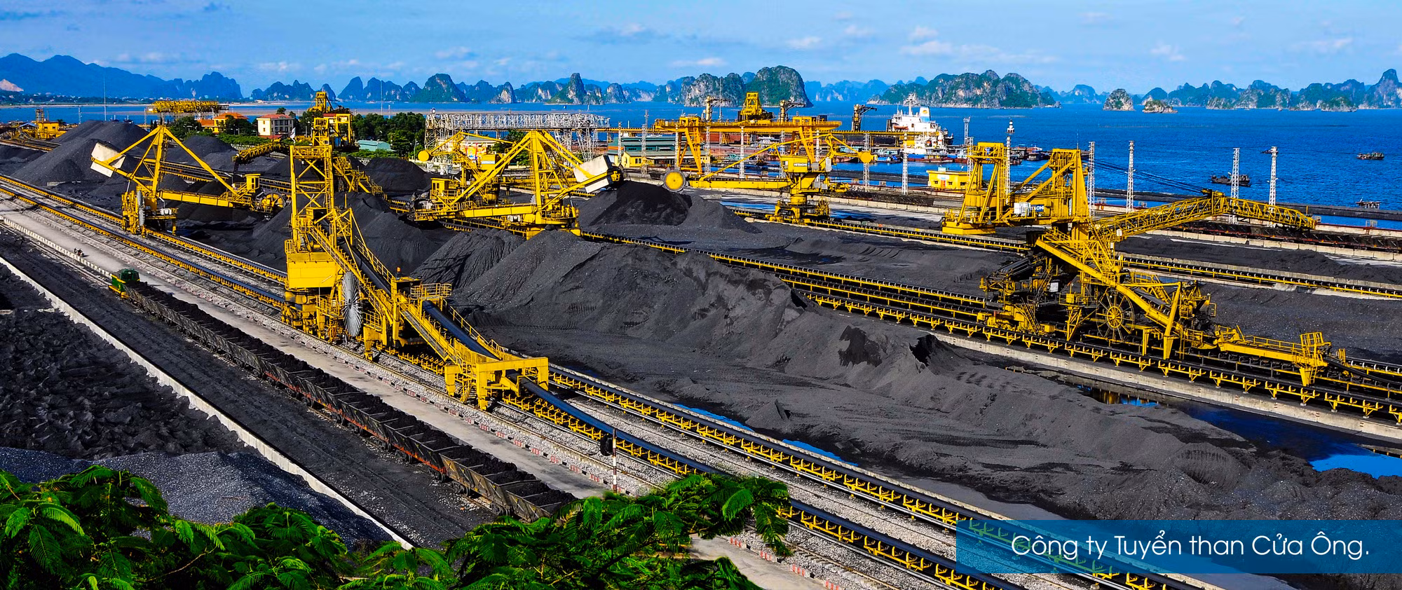 Tiếng than rơi là nhịp đập trái tim tôi ảnh 10
