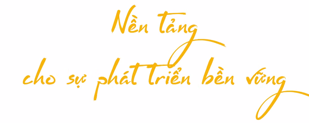 Ảnh trong văn bản