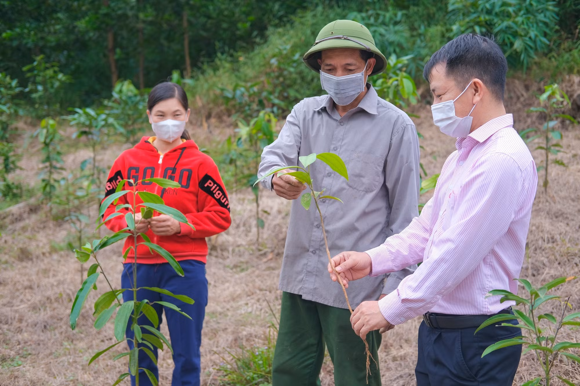 Khơi dậy, hiện thực hóa khát vọng thoát nghèo, làm giàu ảnh 5